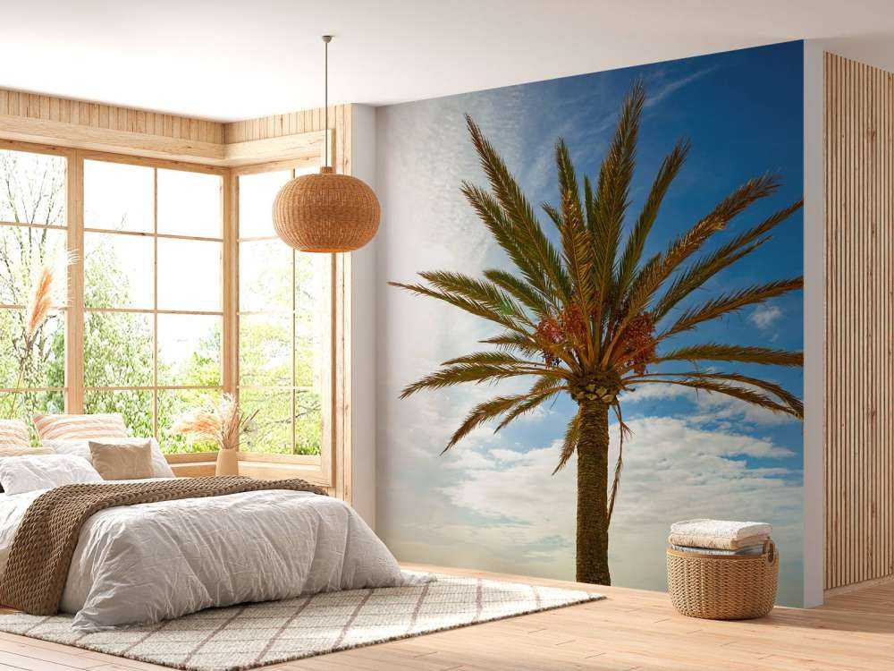Wunderschöne Palme