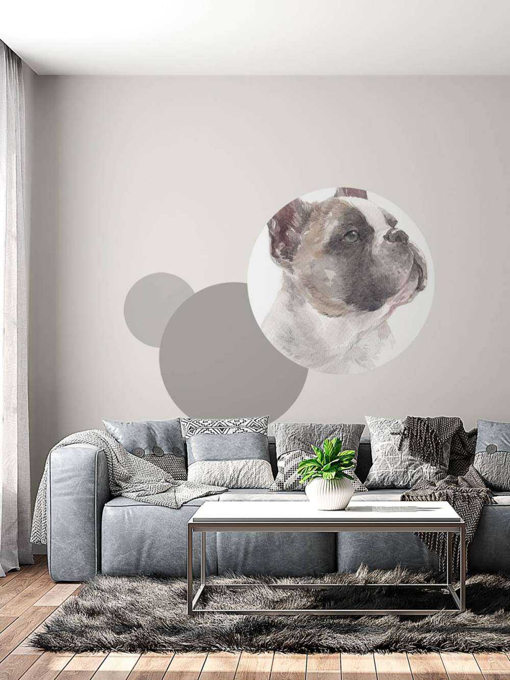 Aquarell Französische Bulldogge