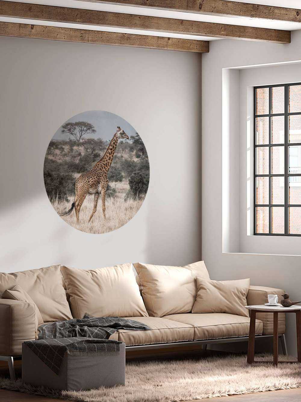 Giraffen-Portrait