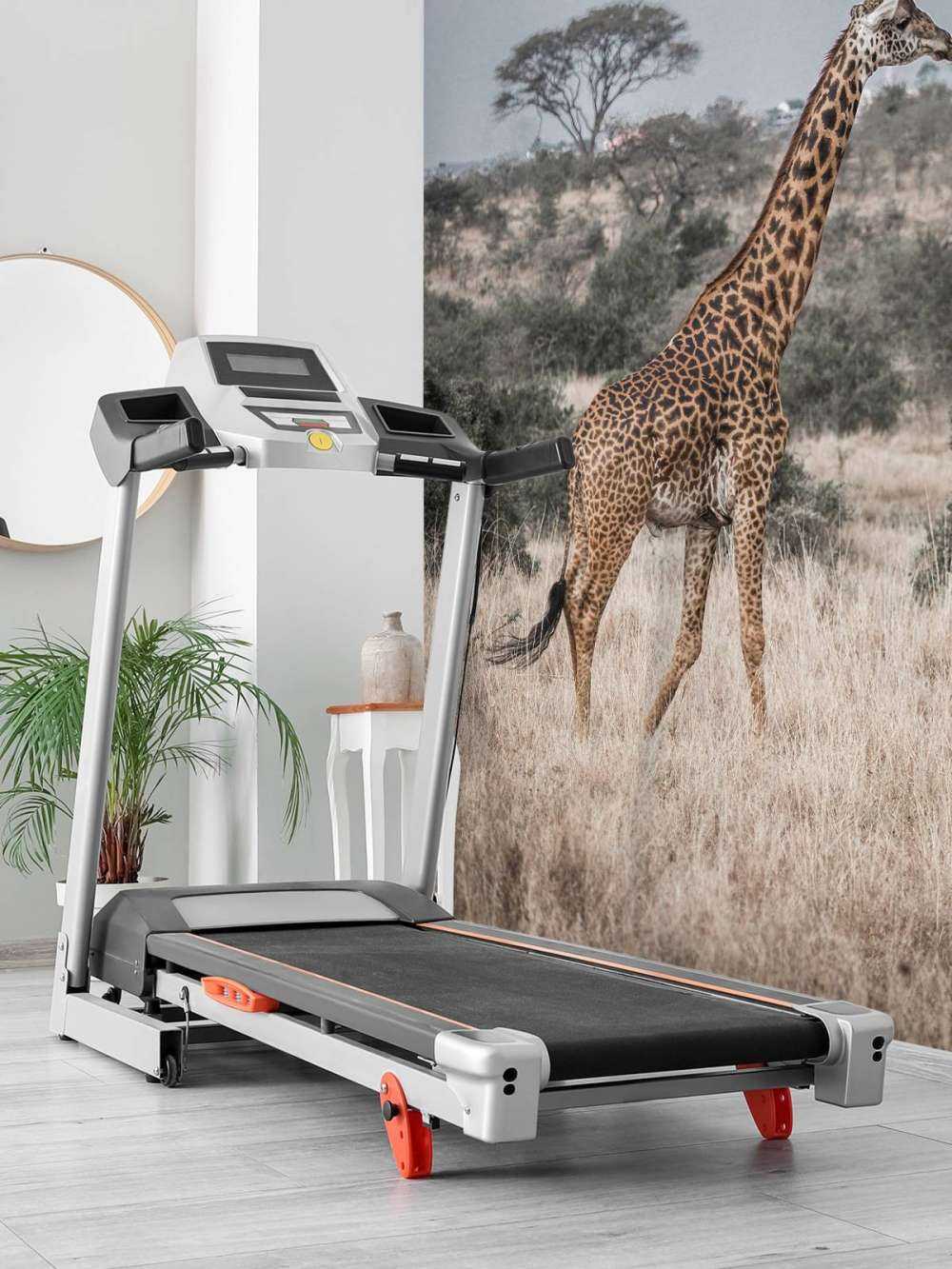 Giraffen-Portrait