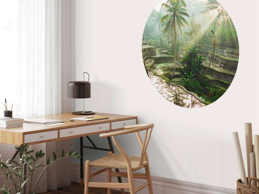 Reisfelder im Dschungel