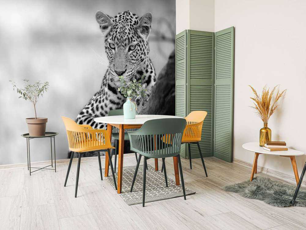 Leopard schwarz, weiß