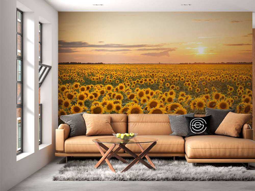 Sonnenblumenfeld mit Sonnenuntergang