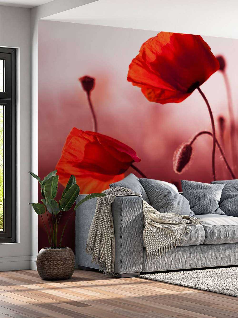 Mohn auf der Wiese