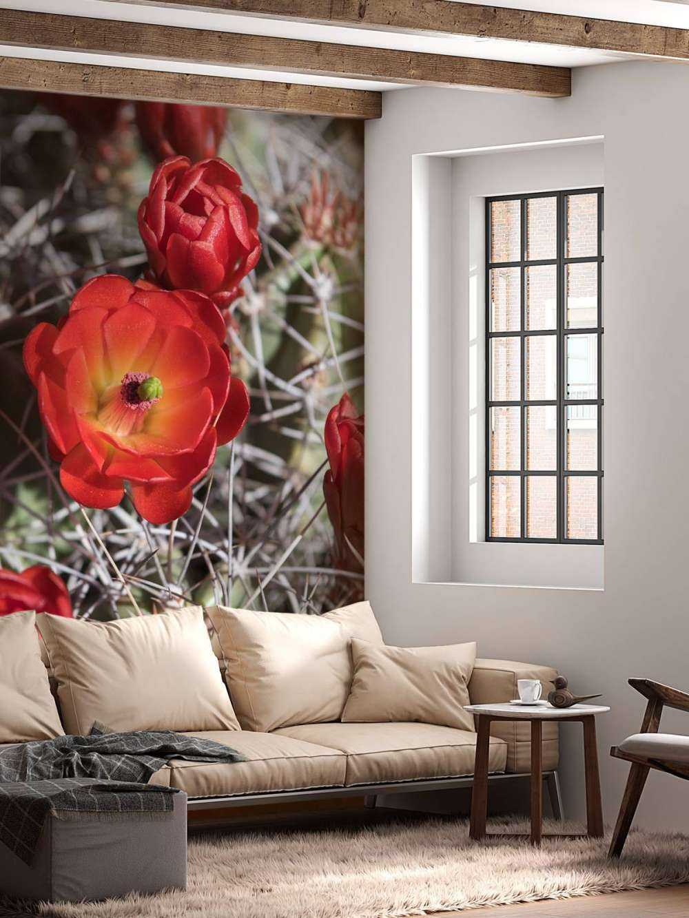 Rote Kaktusblumen