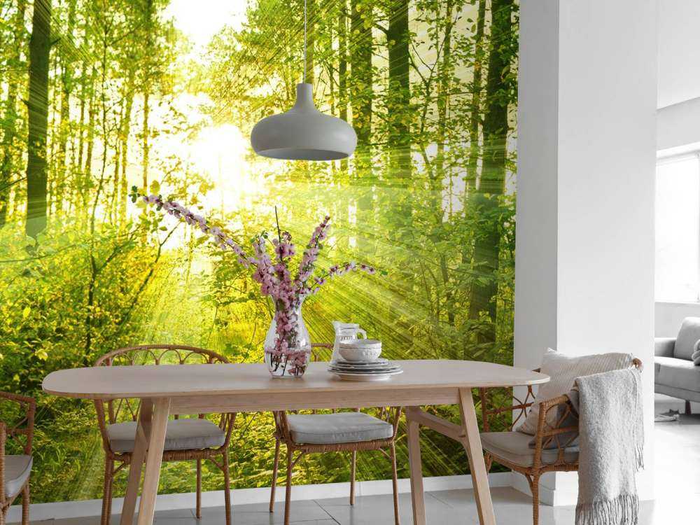 Sonnenstrahlen in einem grünen Wald