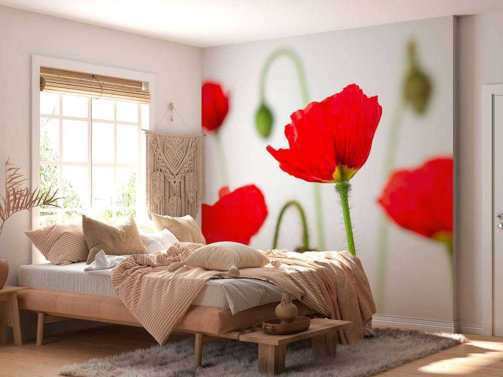 Nahaufnahme rote Mohnblumen