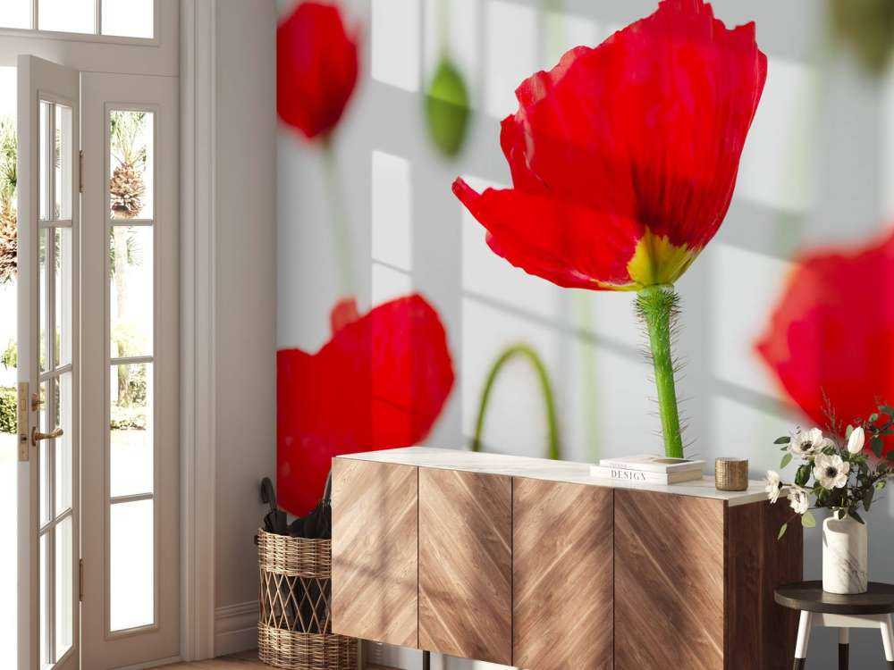 Nahaufnahme rote Mohnblumen