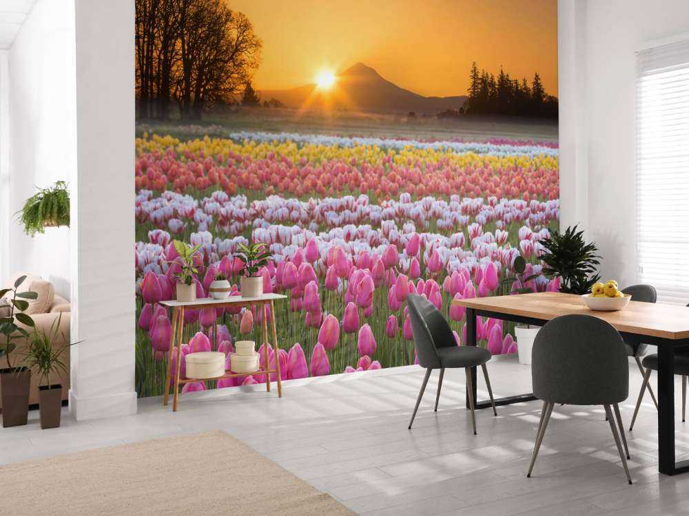Buntes Tulpenfeld