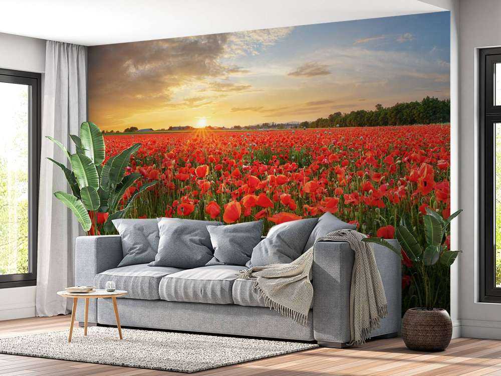 Sonnenuntergang mit Mohnblumen