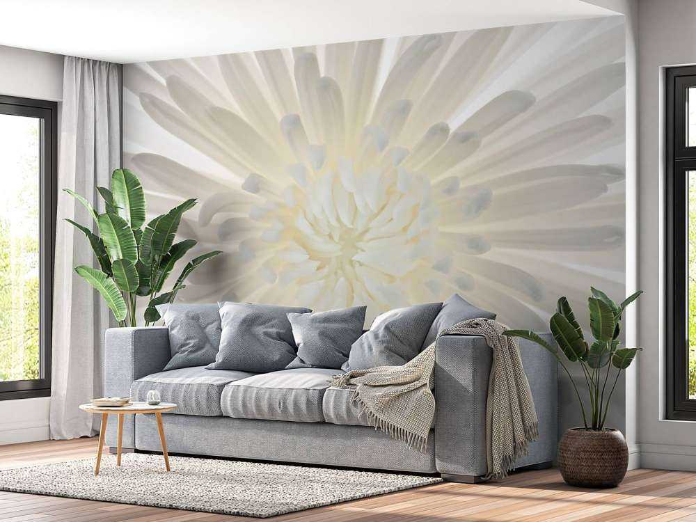 Chrysantheme