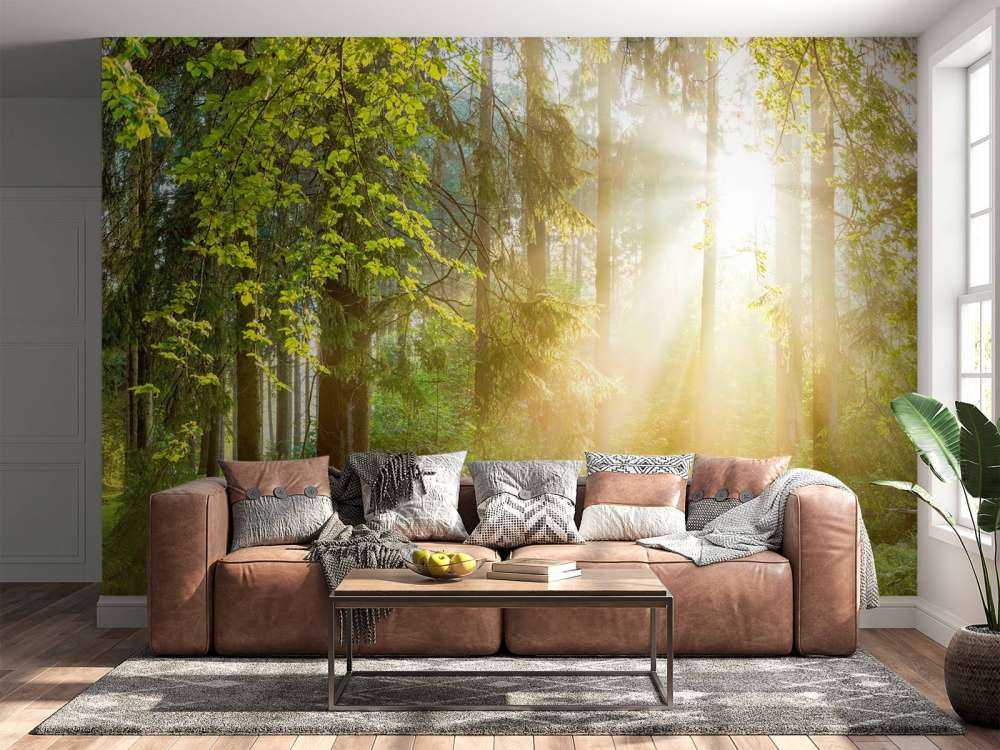 Waldlandschaft bei Sonnenaufgang