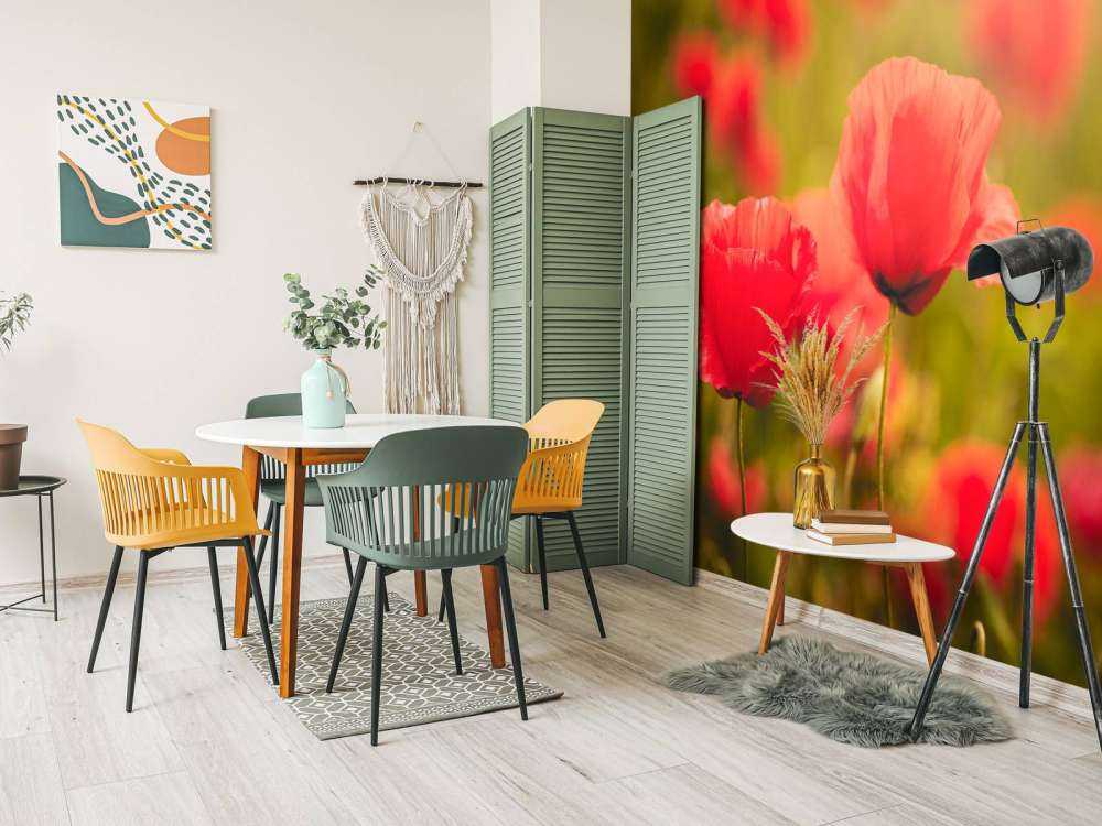 Mohnblumen bei Sonnenaufgang