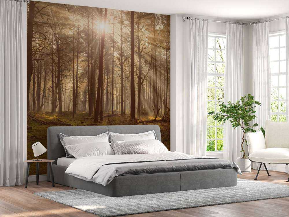Wald mit hohen Bäumen