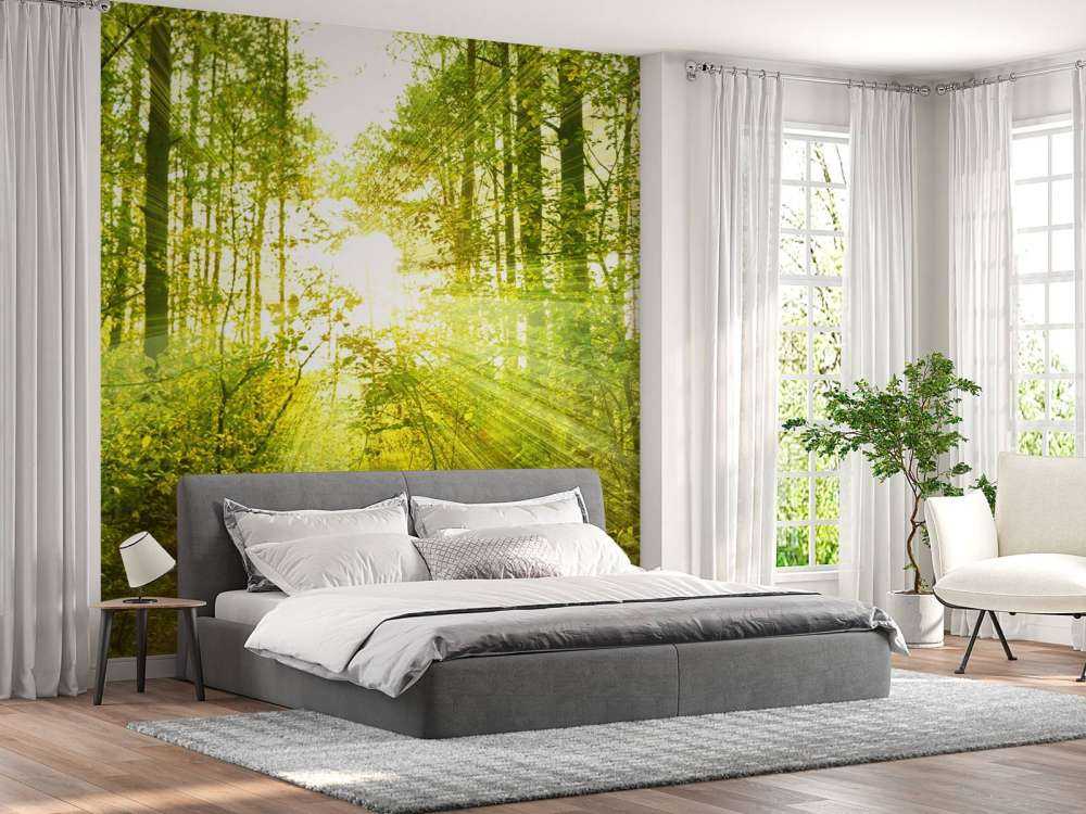 Sonnenstrahlen in einem grünen Wald