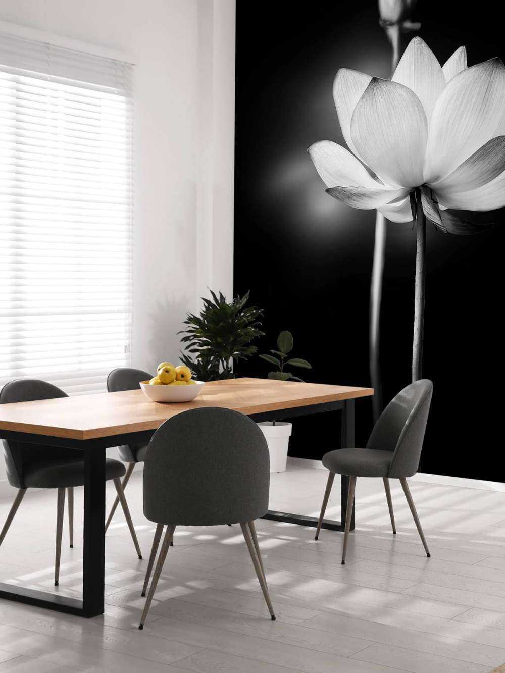Lotusblüten schwarz und weiß