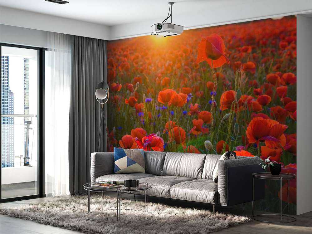 Mohnblumen mit aufgehender Sonne