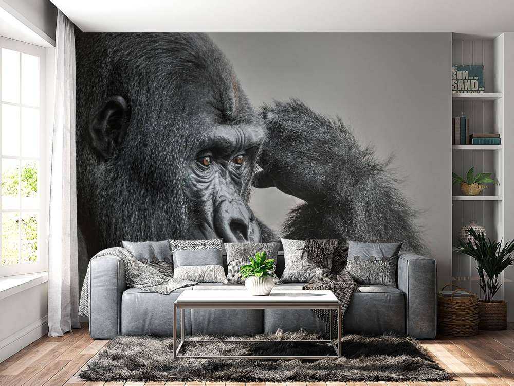 Gorilla schwarz-weiß