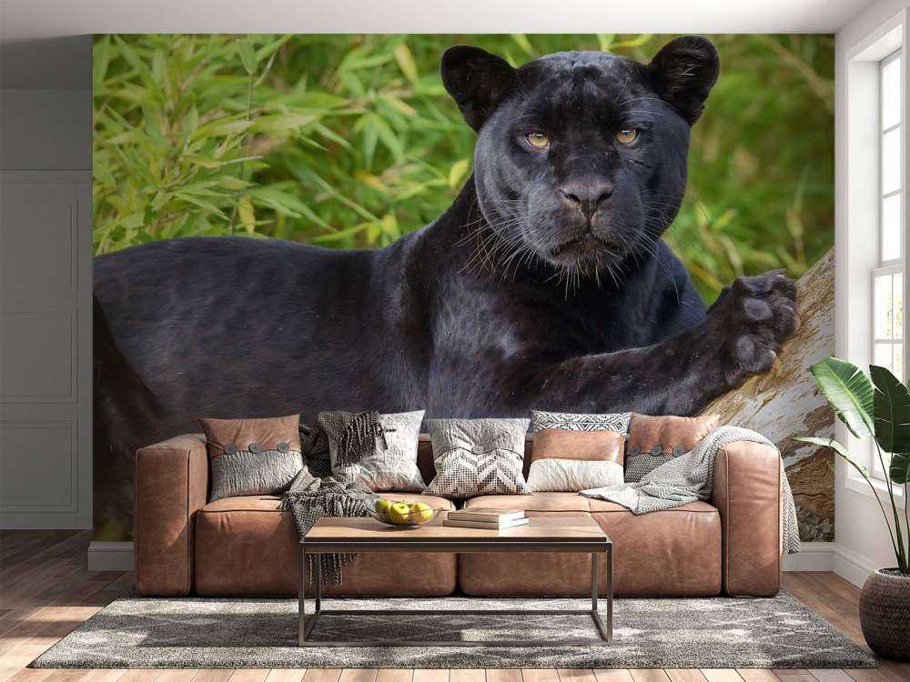 Schwarzer Panther auf einem Baum