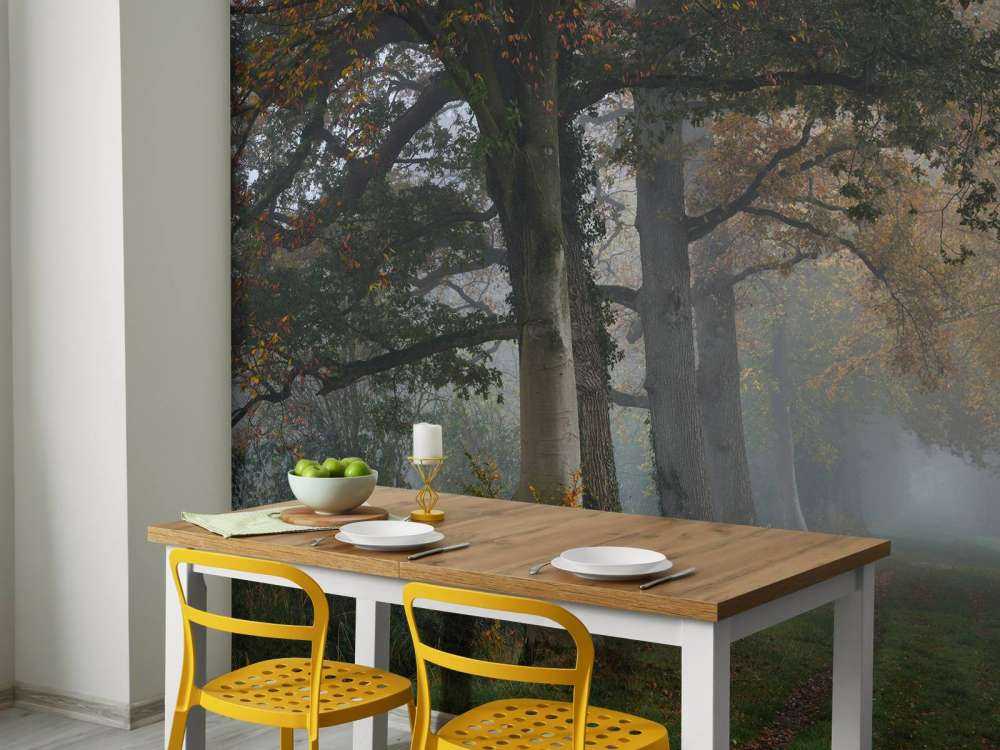 Allee mit Bäumen im Nebel