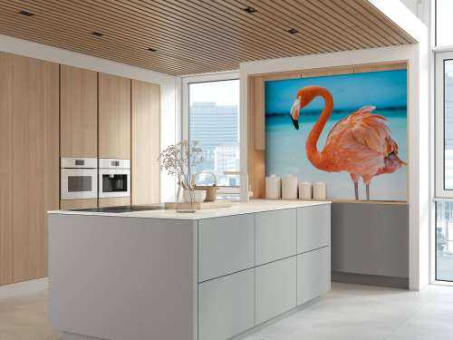 Tropischer Flamingo