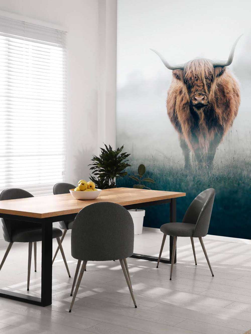 Schottischer Hochländer im dichten Nebel