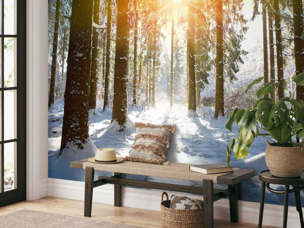 Sonnenlicht im Winterwald