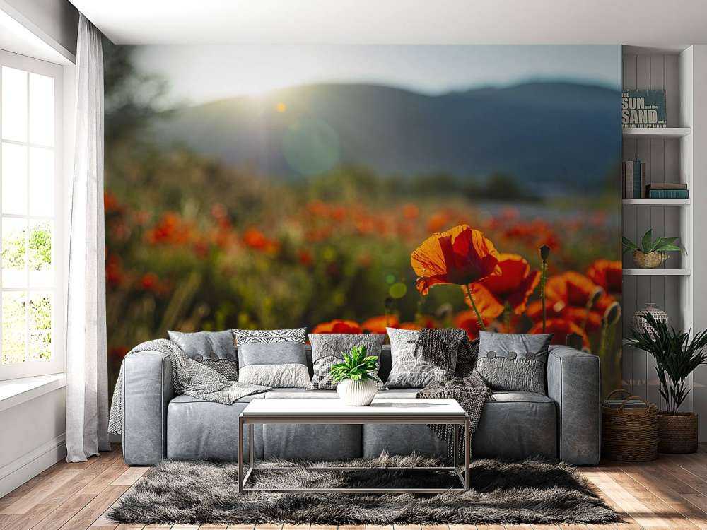 Mohnblumen mit Sonnenstrahlen
