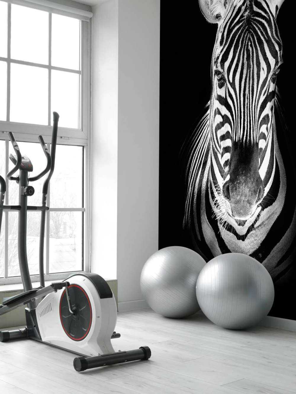 Nahaufnahme Zebra schwarz-weiß