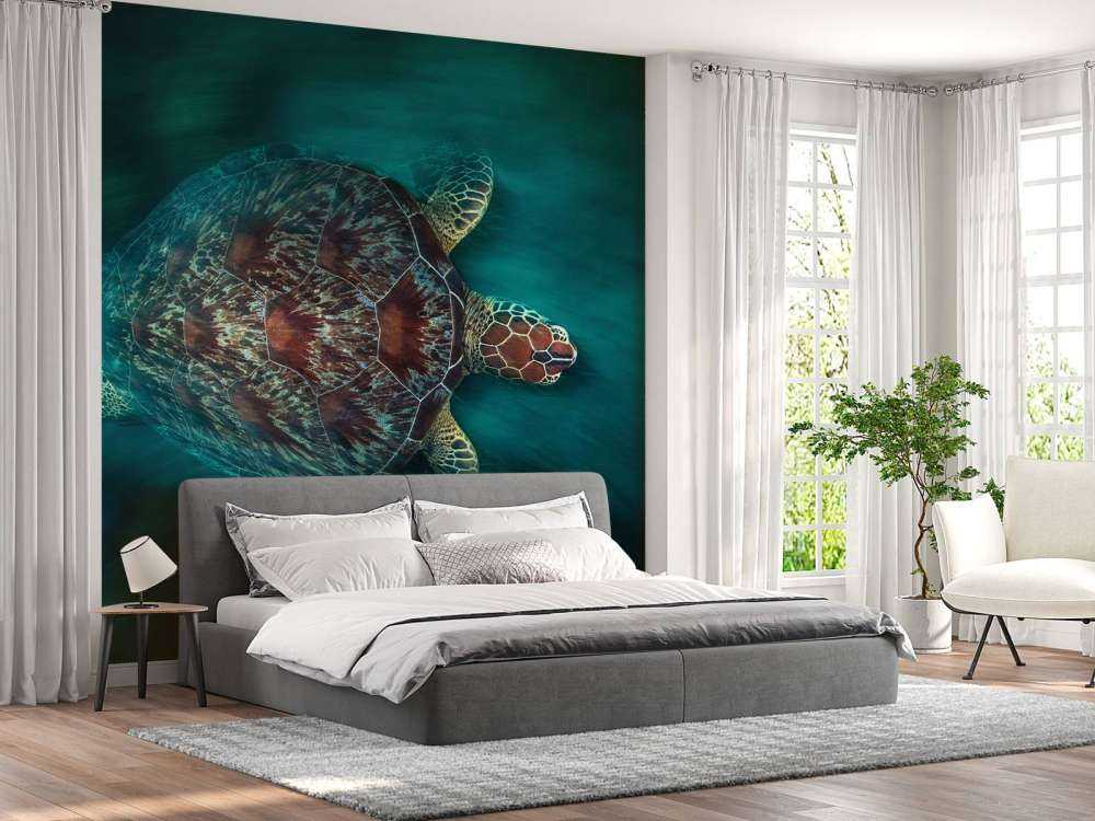 Vaclocity Turtle