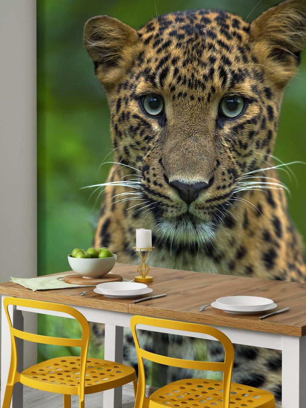 Fokussierter Leopard
