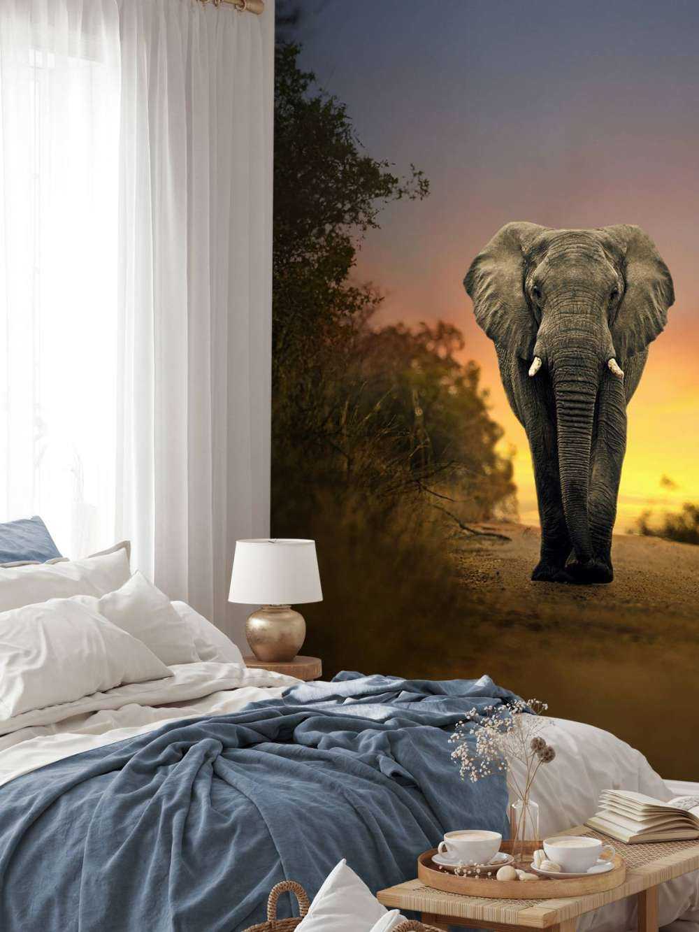Elefant mit Sonnenuntergang