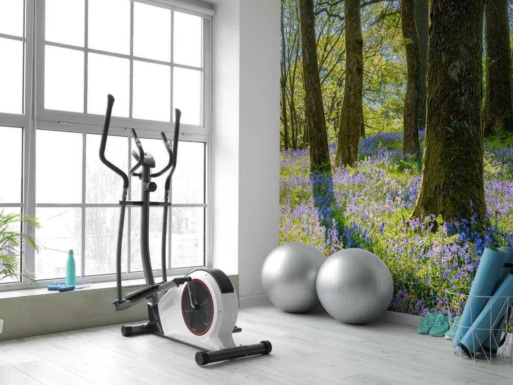 Panorama des Frühlings im Wald