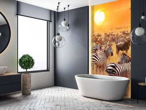 Savannensonne mit Zebras