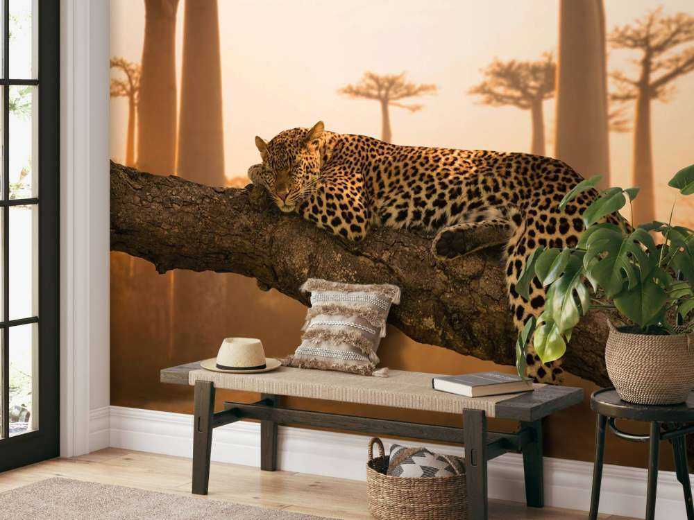 Schlafender Leopard