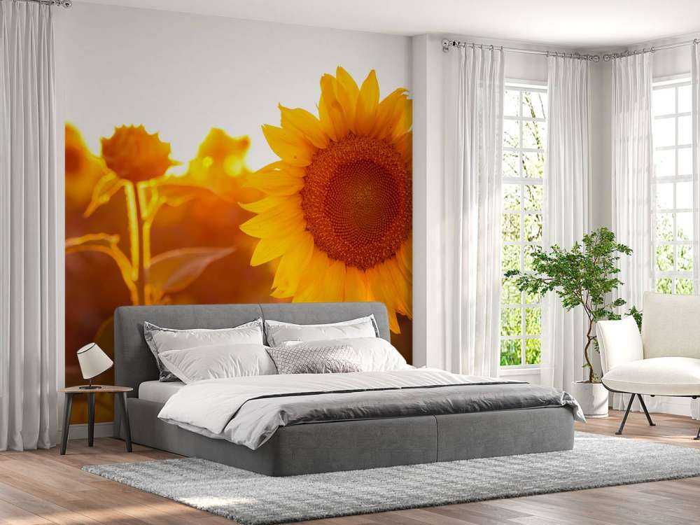 Warmes Sonnenblumenfeld