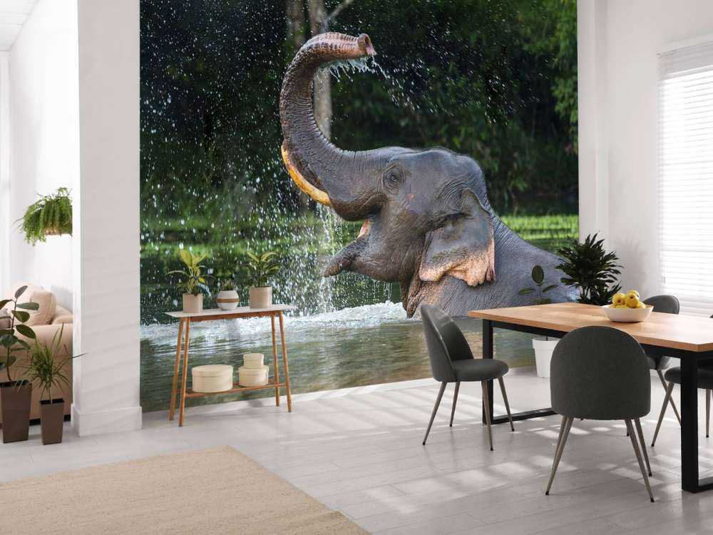 Elefant im Wasser