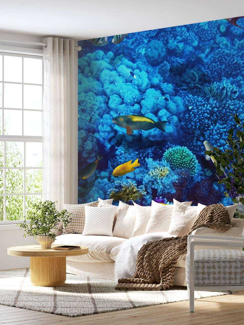Fische und Korallen
