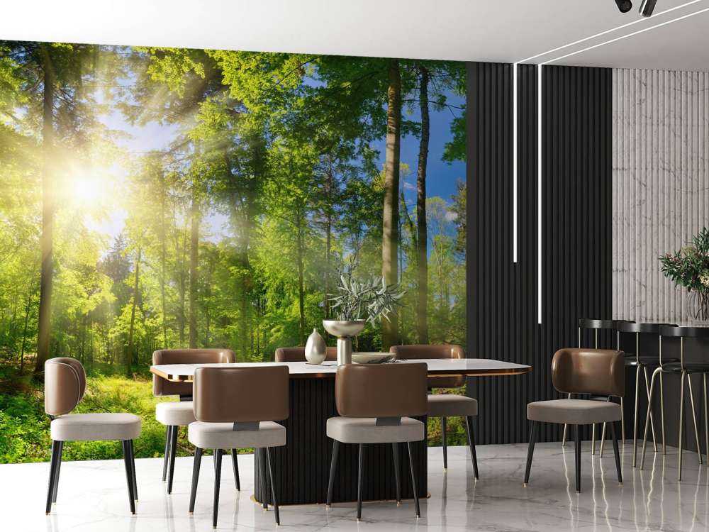 Wald mit Sonnenstrahlen