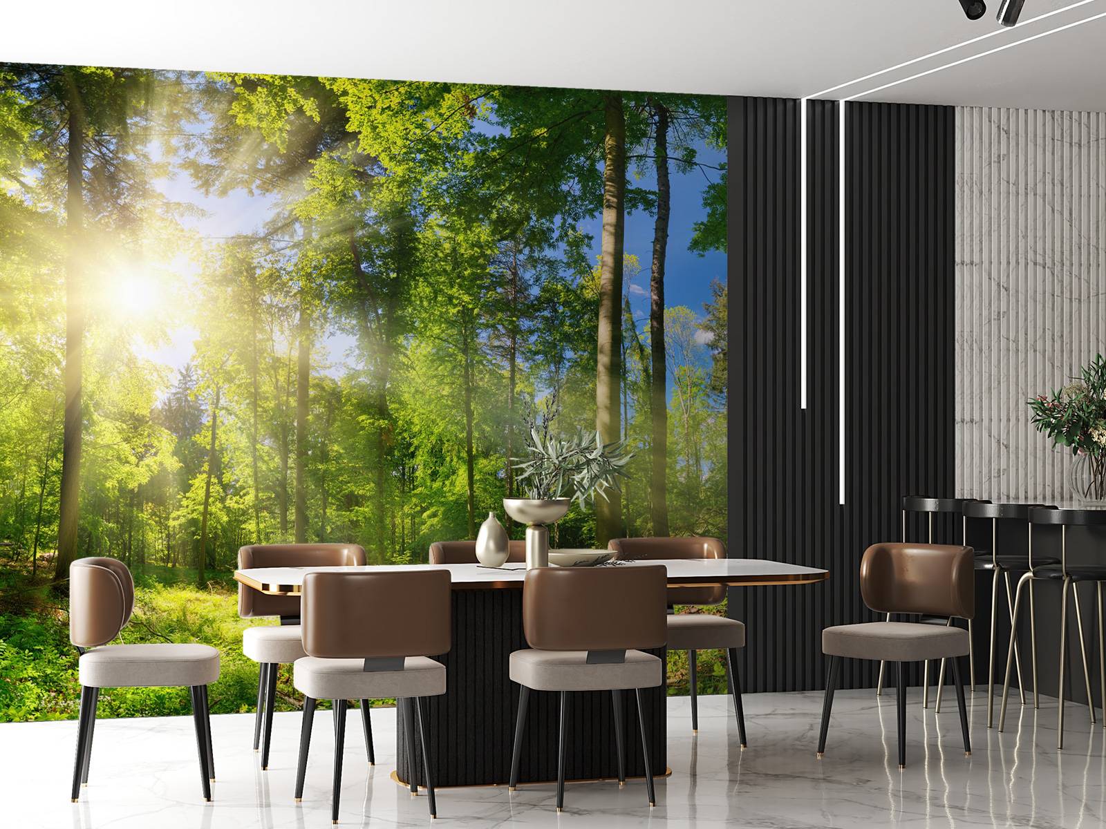 Wald mit Sonnenstrahlen