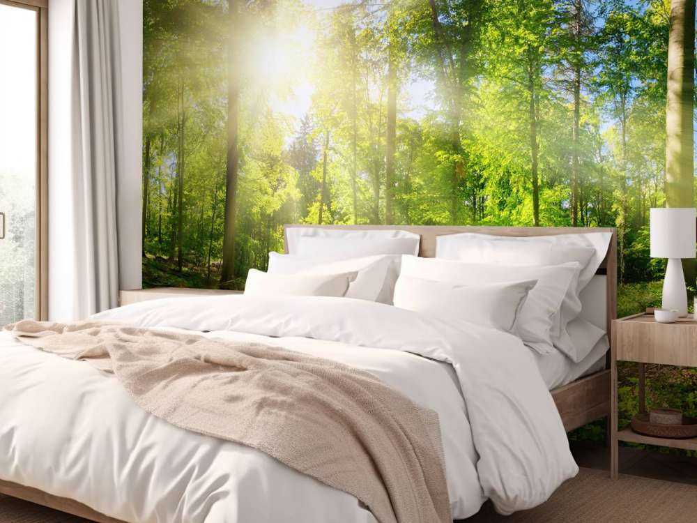 Wald mit Sonnenstrahlen