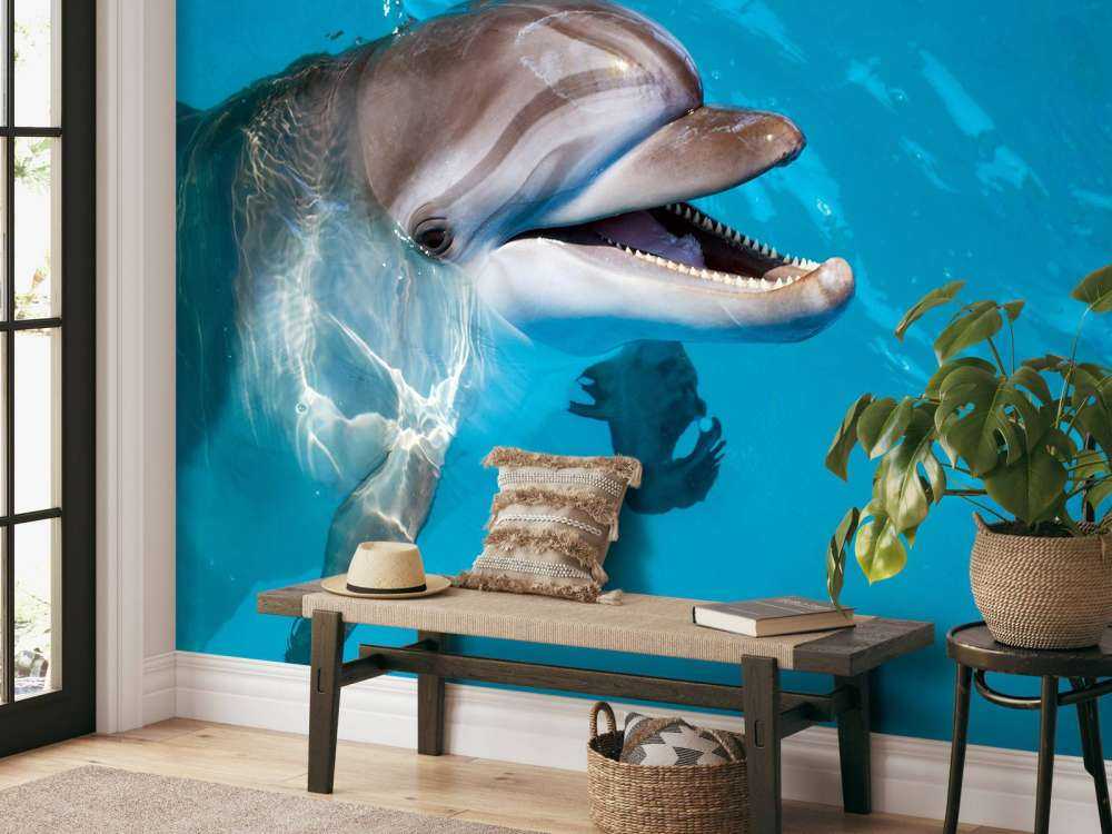Freundlicher Delfin
