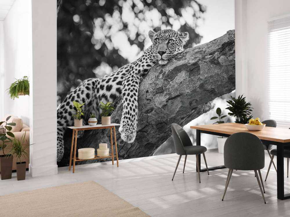 Ruhender Leopard
