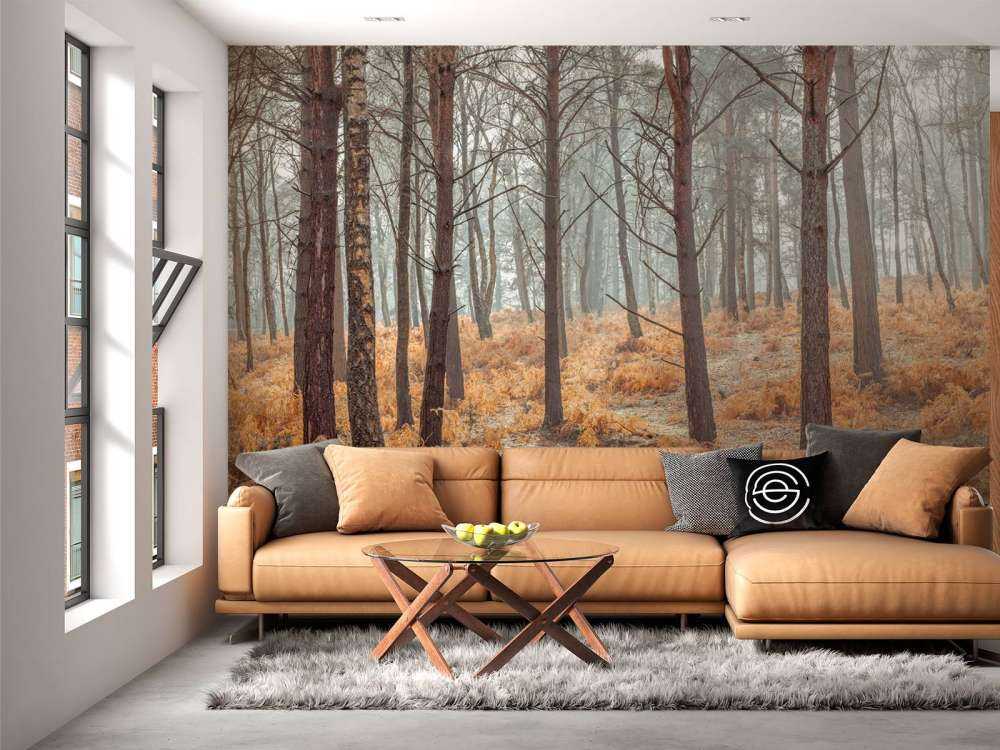 Wald im Herbst