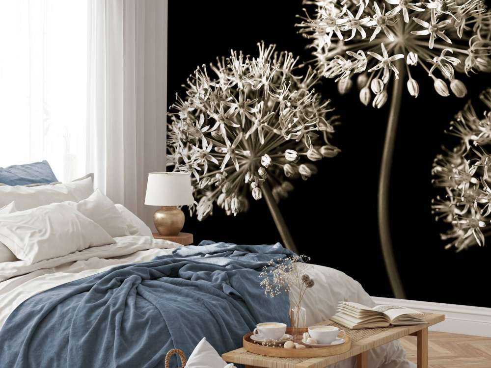 Drei Allium