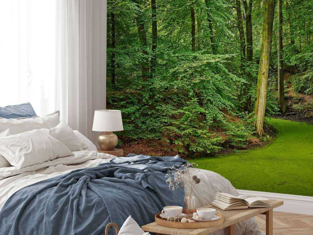 Bach mit Wasserlinsen im Wald