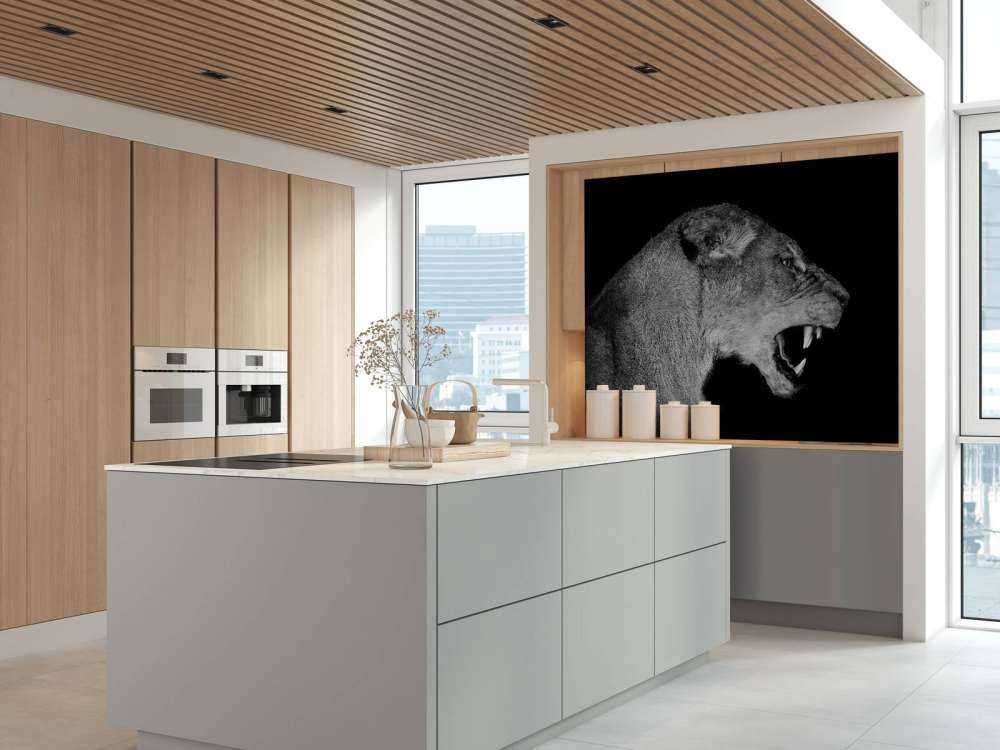 Löwin Seitenansicht schwarz