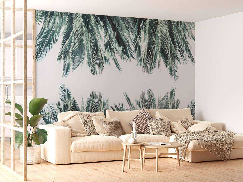 Palmenblätter auf weißem Hintergrund