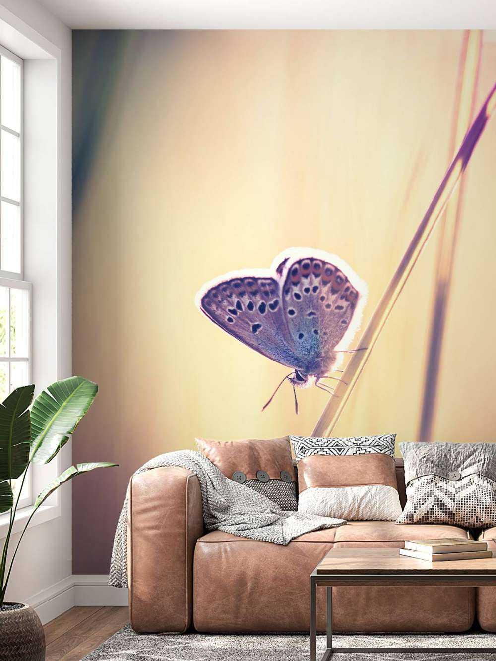Verträumter Schmetterling