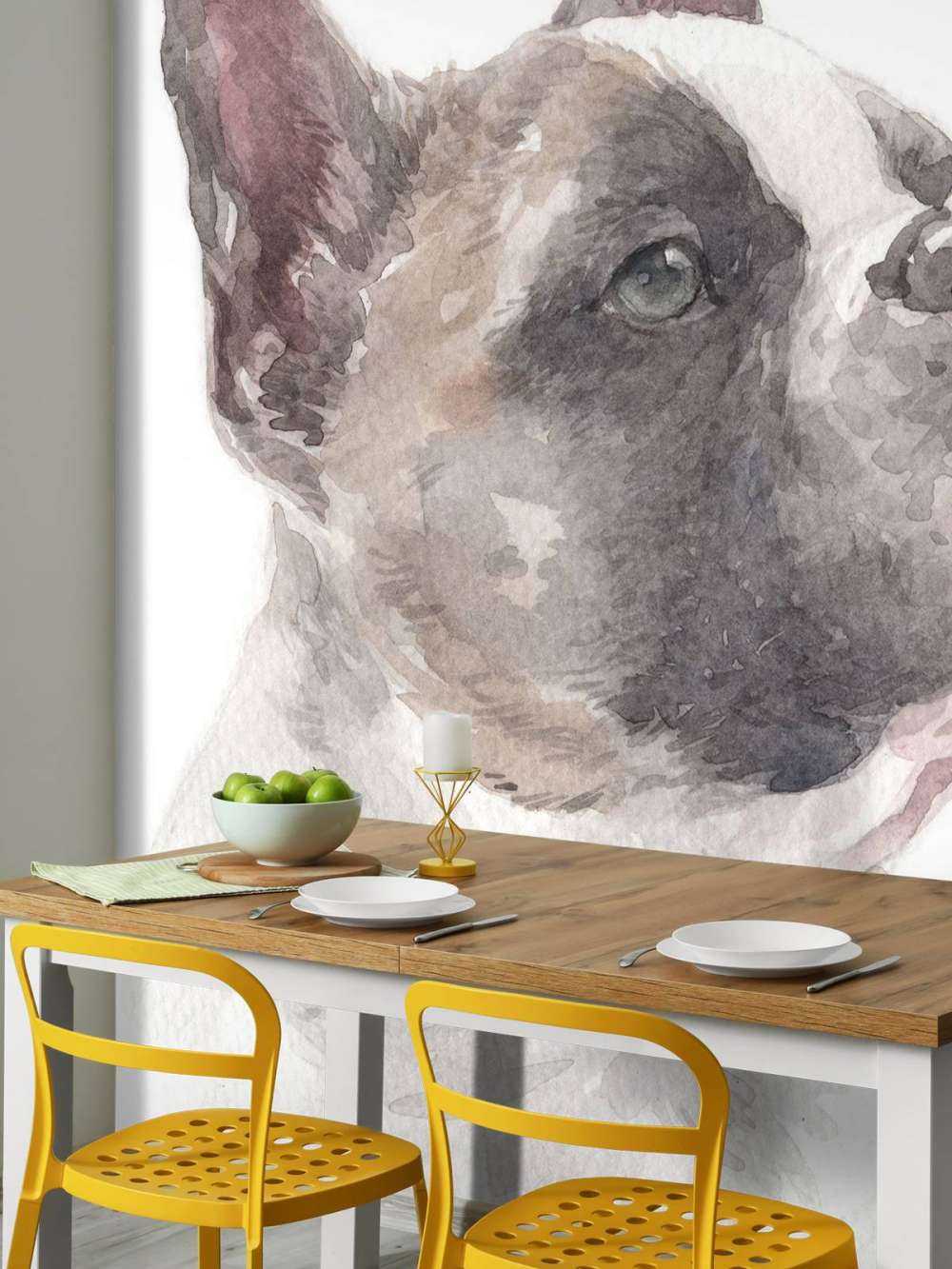 Aquarell Französische Bulldogge